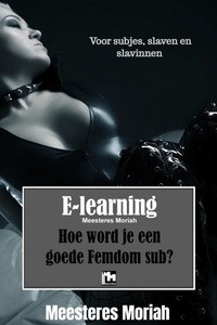 Hoe word je een goede Femdomsub?