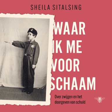 Waar ik me voor schaam: Over zwijgen en het doorgeven van schuld