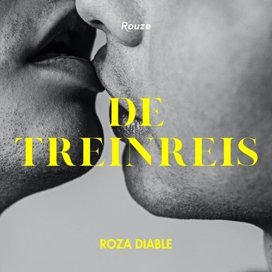 De treinreis
