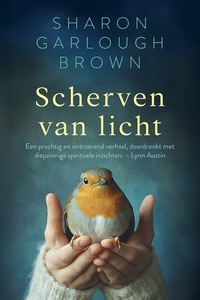 Scherven van licht 1 - Scherven van licht