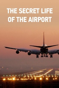 The Secret Life of the Airport