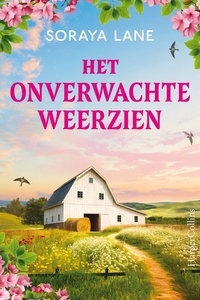 Het onverwachte weerzien