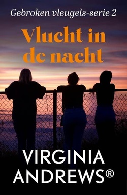 Vlucht in de nacht