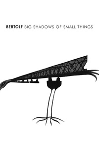 Big Shadows of Small Things