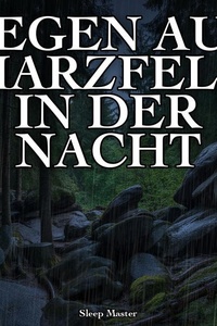 Regen auf Harzfels in der Nacht: 8 Stunden Schwerer Regen auf Harzer Sandstein