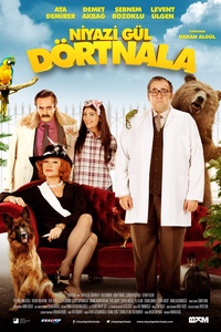 Niyazi Gul At A Gallop