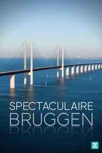 Spectaculaire Bruggen