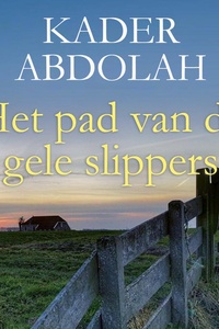 Het pad van de gele slippers