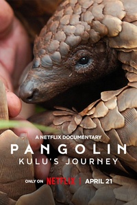 Pangolin: Kulu's Journey