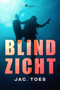 Blind zicht