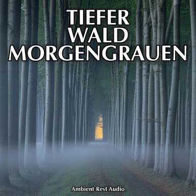 Tiefer Wald Morgengrauen: 8 Stunden Fruehvogelchor Und Nebel Im Buchenwald