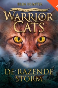 De razende storm
