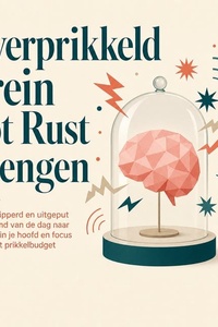 Overprikkeld Brein Tot Rust Brengen: Van Versnipperd En Uitgeput Aan Het Eind Van De Dag Naar Meer Rust in Je Hoofd En Focus Dankzij Het Prikkelbudget
