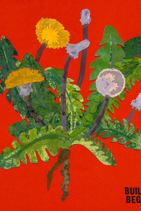 Building a Beginning