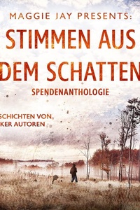 Stimmen aus dem Schatten: Spendenanthologie - Kurzgeschichten von Waldecker Autoren