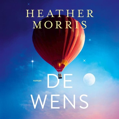 De wens: Eén laatste ontmoeting brengt twee levens samen