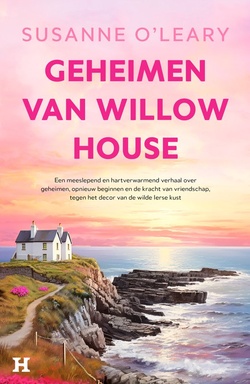 Sandy Cove 1 - Geheimen van Willow House
