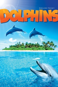 Dolphins