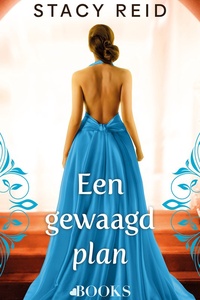 Een gewaagd plan