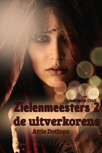 De zielenmeester 2