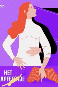 Het slaapfeestje