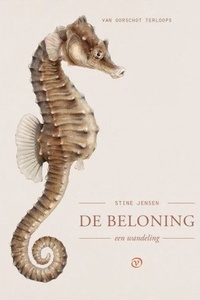 De beloning