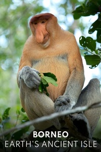 Borneo: Earth's Ancient Isle