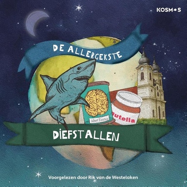 De allergekste diefstallen