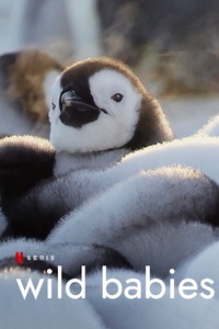 Wild Babies