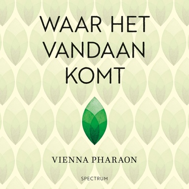 Waar het vandaan komt