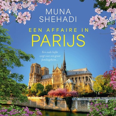 Een affaire in Parijs
