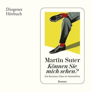 Können Sie mich sehen? - Business Class - Die Business Class im Homeoffice (Ungekürzt)