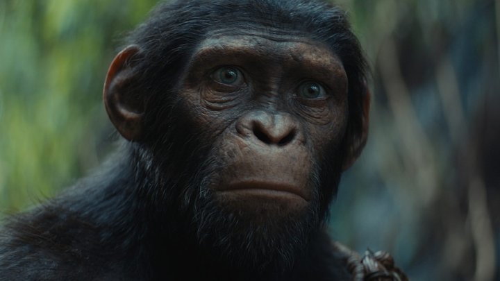 Kingdom of the Planet of the Apes is vanaf nu beschikbaar via Pathé Thuis – ADV