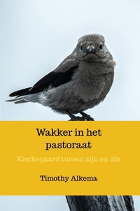 Wakker in het pastoraat