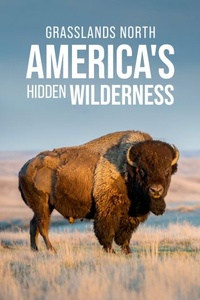 Grasslands: North America's Hidden Wilderness
