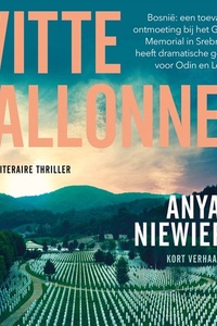 Witte ballonnen