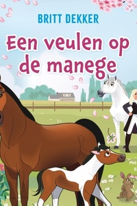 Een veulen op de manege