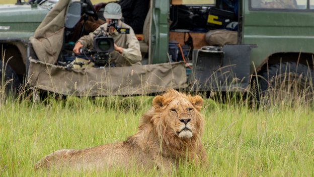Nieuwe serie LION nu te zien op Disney+: alle afleveringen direct online
