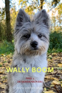 Wally Boom