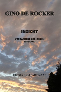 Inzicht