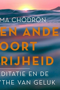 Een ander soort vrijheid: Meditatie en de mythe van geluk