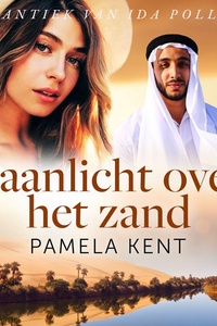 Maanlicht over het zand