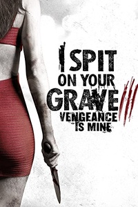 I spit on your grave 3