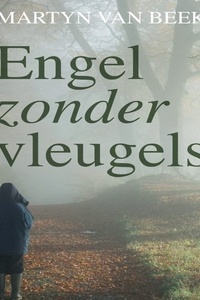 Engel zonder vleugels