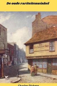 De oude rariteitenwinkel