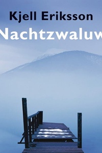Nachtzwaluw