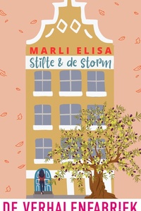 Stilte & de storm