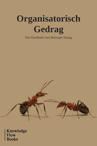 Management & Bedrijfsstudies Serie - Organisatorisch gedrag