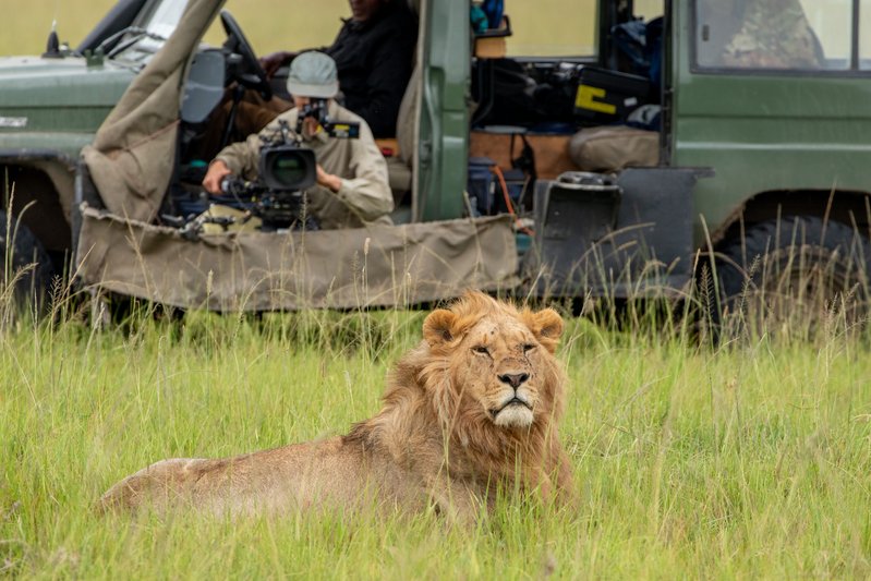 Nieuwe serie LION nu te zien op Disney+: alle afleveringen direct online