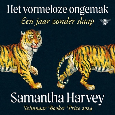 Het vormeloze ongemak: Een jaar zonder slaap